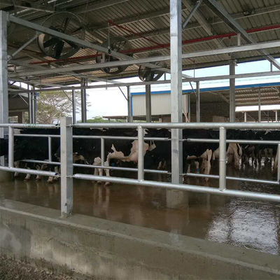 Xây dựng trang trại gà