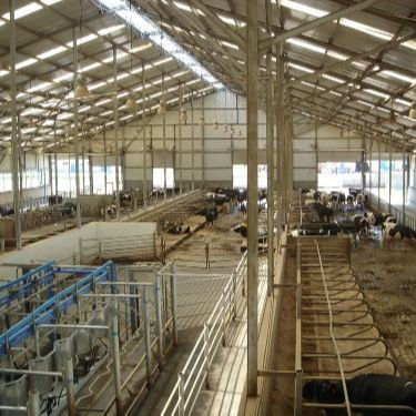 Cấu trúc thép tùy chỉnh Nhà gia cầm với cài đặt nhanh