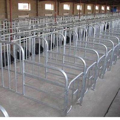 Cấu trúc thép tùy chỉnh Nhà gia cầm với cài đặt nhanh