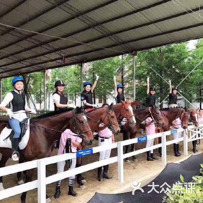 Steel Structure Building for Poultry House 15-21 Days Delivery